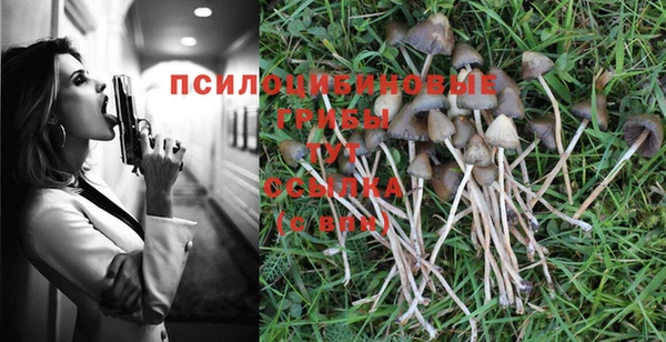 не бодяженный Баксан
