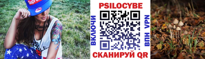 Галлюциногенные грибы мицелий Каспийск